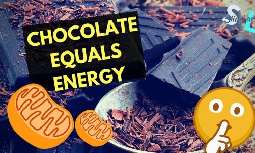 Foods That Boost Mitochondria and Increase Energy