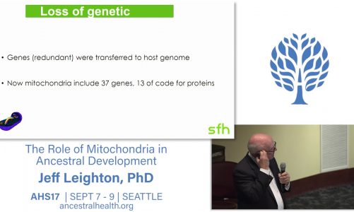 AHS17 The Role of Mitochondria In Ancestral Development – Jeff Leighton