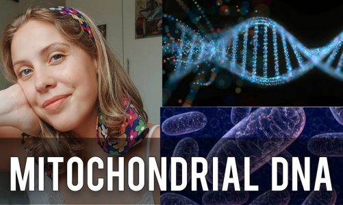 Mitochondrial DNA  || SARVAYONI INDIA ||