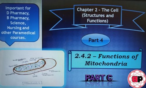 Chapter 2- The Cell (Structure and Functions) / 2.4.2 Functions of Mitochondria (Part C) / Part 04