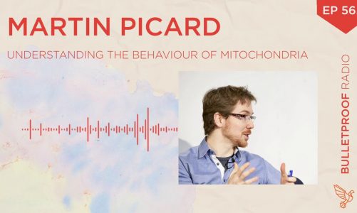 Understanding the Behaviour of Mitochondria   Martin Picard #565