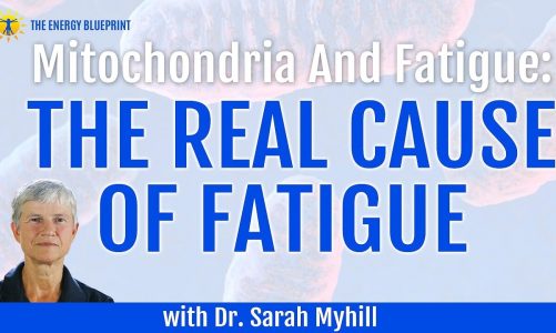 Mitochondria and Fatigue – How to Boost your Mitochondria to Beat Fatigue with Dr. Sarah Myhill
