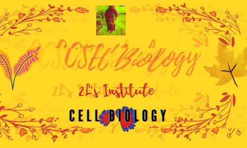 CSEC Biology EPISODE 4  Cell Biology 1