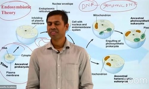 CELL: THE UNIT OF LIFE L-14 | Mitochondria  | 21-7-20 | Mangesh sir | Biology 11th | VSA