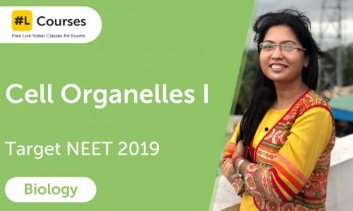 Cell Organelles I | Cell The Unit of Life | Biology | Target NEET 2019 | Day 30