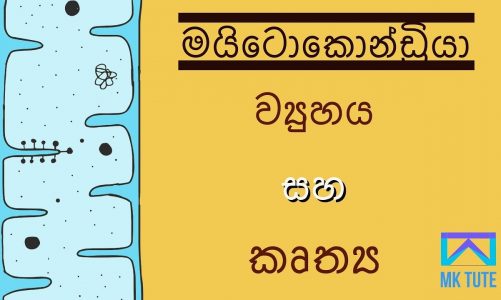 Mitochondria in Sinhala