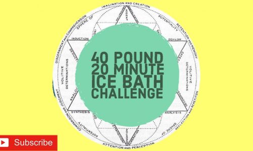 ❄️ 20 Minutes in 40 lbs of Ice! EXTREME Wim Hof Ice Bath Challenge ❄️