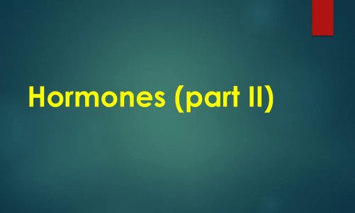 2nd year Hormones part 2