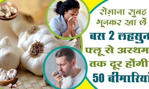 Benefits of Lehsun | Gharelu Nuskhe – लहसुन के फायदे | Home Remedies – Flu & Asthama