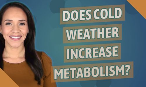 Does cold weather increase metabolism?