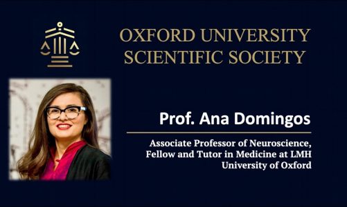 Neuroimmunometabolism, by Prof. Ana Domingos