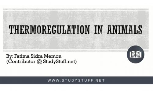 Thermoregulation in Animals | Homeostasis | Fatima Sidra Memon