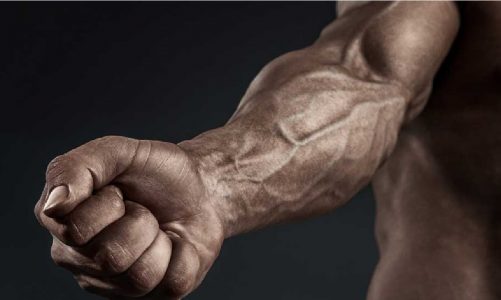how to get muscular forearms at home