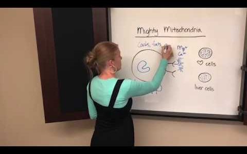 Mitochondria and Chronic Fatigue Syndrome. Utah Functional Medicine Doctor