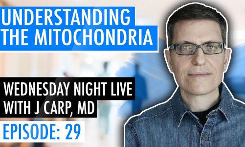 Ep 29:  Energy Part 1 :  Understanding the Mitochondria by J Carp, MD