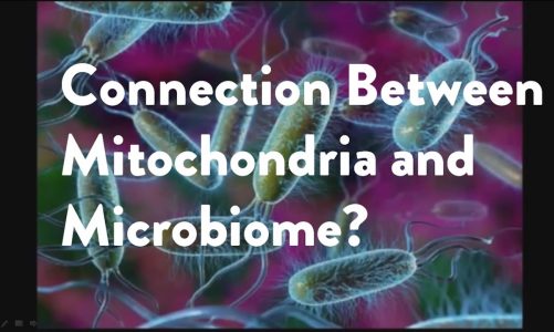 Connection Between Mitochondria and Microbiome?  [Functional Forum, James Maskell]