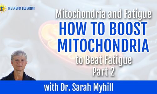 Mitochondria and Fatigue – How to Boost Mitochondria to Beat Fatigue – Part 2 w/ Dr. Sarah Myhill
