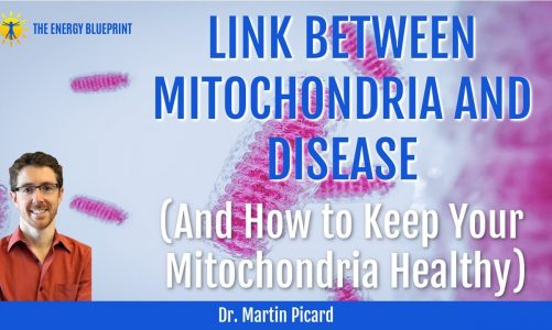 Dr. Martin Picard On The Link Between Mitochondria And Disease