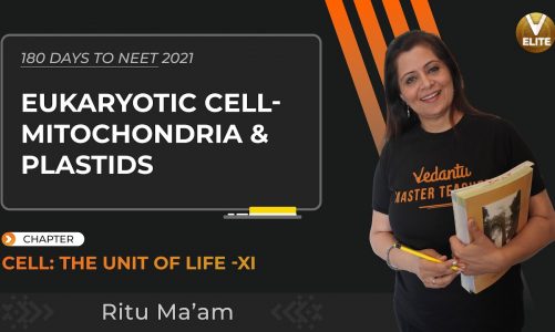Cell The Unit of Life | Eukaryotic Cell- Mitochondria and Plastids | NEET 2021 | NEET Biology