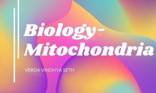 l Biology l Mitochondria l Class 9