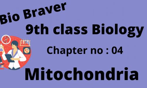 9th class Biology | Mitochondria | Matric part 1 | Bio Braver |