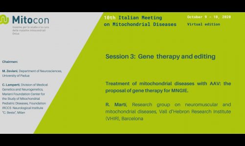 Treatment of mitochondrial diseases with AAV: the proposal of gene therapy for MNGIE, R. Martí