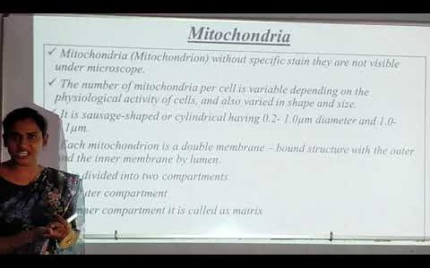 Intermediate 1st year Botany- Vacuoles and Mitochondria 012