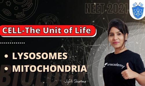 Lysosomes & Mitochondria | Cell-The Unit Of Life | NEET 2021 | Jyoti Sharma