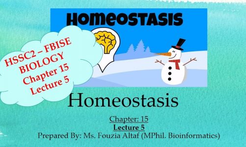 12 Biology Chapter 15 Homeostasis | Lecture 5 | Hemo & Peritoneal Dialysis, Thermoregulation | FBISE