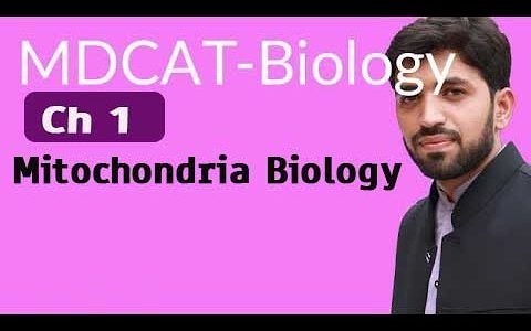 MDCAT Biology, Entry Test, Ch 1, Mitochondria Biology – MDCAT Biology