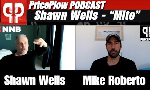 Mitochondrial Health for CLEAN ENERGY: Shawn Wells | Podcast #034