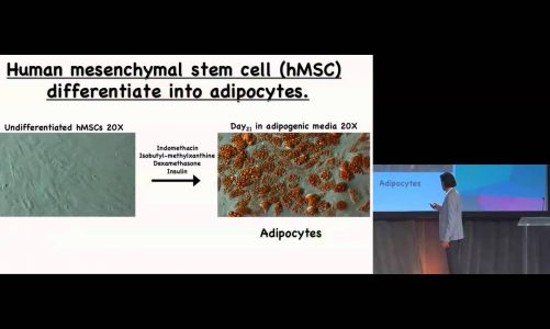 2015 SID State of the Art (SOTA)Plenary Lecture 4, Navdeep Chandel, PhD