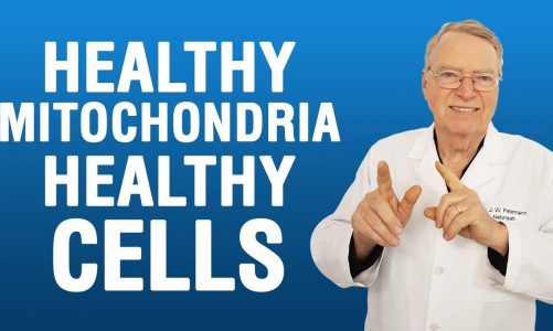Mitochondrial Health | 7 Ways to Help Mitochondria's Anti-Aging Job