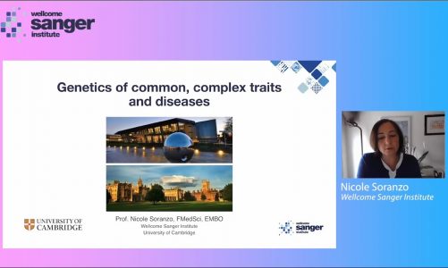 Sanger Institute: The genetic basis of common traits and diseases seminar – Professor Nicole Soranzo