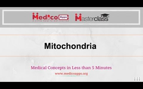 NEET PG-TOPIC-Mitochondria-Physiology