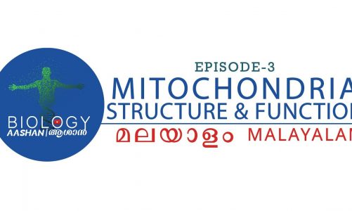 [MALAYALAM] Mitochondria – Structure and Function [HD]
