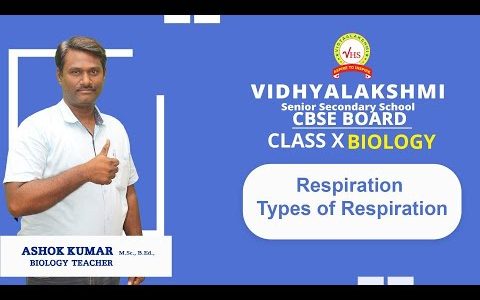 Respiration Types of Respiration | CBSE  Class  10 & 11 Biology |