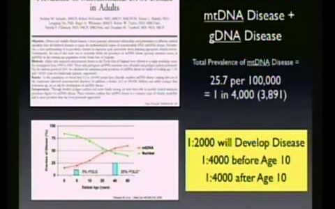 Mitochondria and Autism (Spring 2011) – Robert K. Naviaux, M.D., Ph.D.