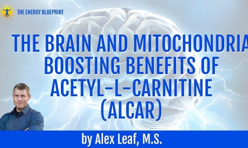 The Brain and Mitochondria Boosting Benefits of Acetyl-L-Carnitine (ALCAR) by Alex Leaf, M.S.