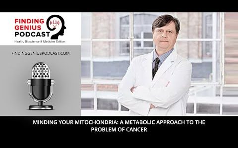 Minding Your Mitochondria: A Metabolic Approach to the Problem of Cancer