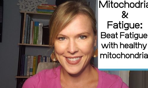 Mitochondria & Fatigue(DOUBLE YOUR ENERGY AND BEAT YOUR FATIGUE SYMPTOMS WITH HEALTHY MITOCHONDRIA)