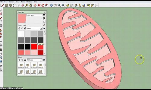 Mitochondrion in SketchUp