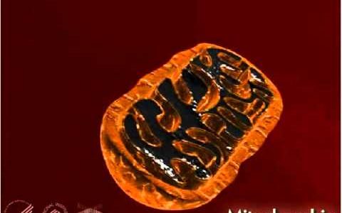 Mitochondria 3-D