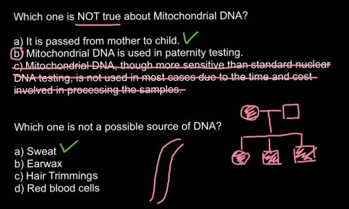 mtDNA and nucleus DNA as forensic evidence