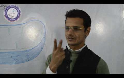 Lecture 7 | Cell | Mitochondria | Pashto