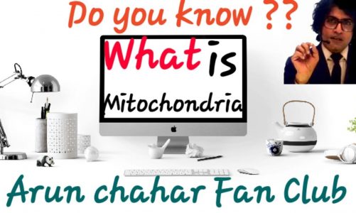 Do you know ?? What is Mitochondria ??  #acfc #Acfc #Arunchahar #arunsirchemistry #science