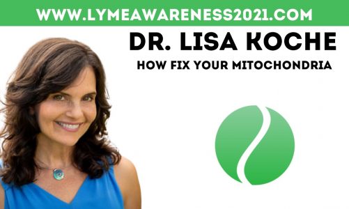 Dr. Lisa Koche – How Fix Your Mitochondria