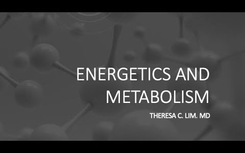 ENERGETICS AND METABOLIC RATE