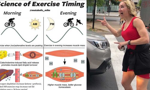 Exercise Timing & Carb Cycling for Fat Loss, Hypertrophy