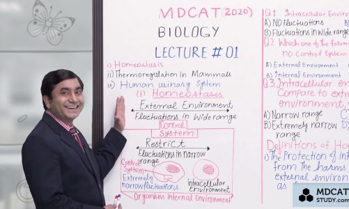 Homeostasis | MDCAT Biology | 1080p | STEPS Lecture No 1